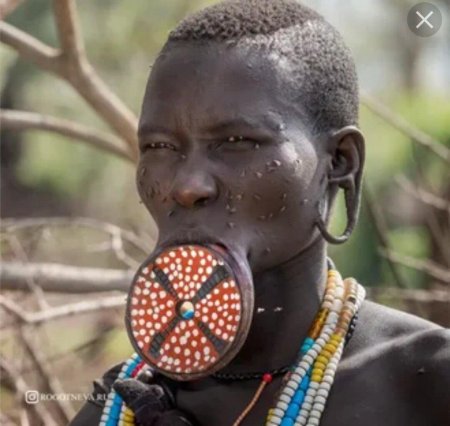 Тарелка в губе африка