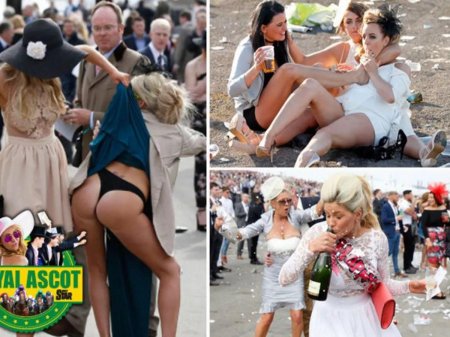 Пьяные английские леди без цензуры