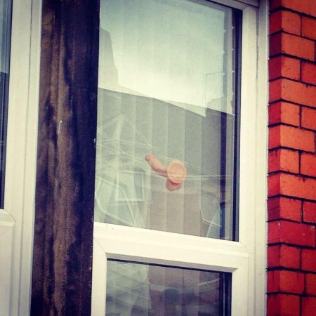 Окно в доме напротив