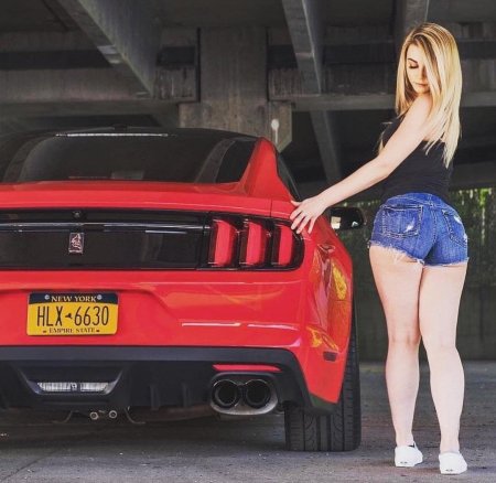 Девушки и мустанг