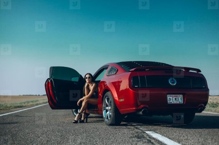 Фотосессия с мустангом