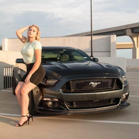 Девушки и мустанг