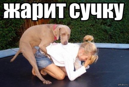 Девушки совокупляются с собаками