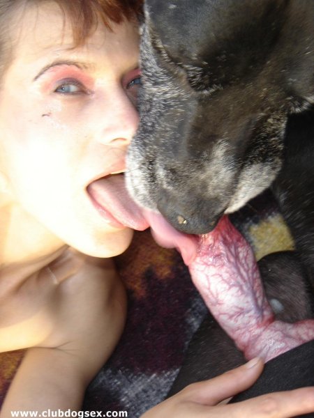 Минет собака