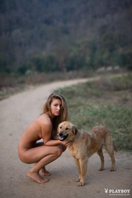 Собака разные породы