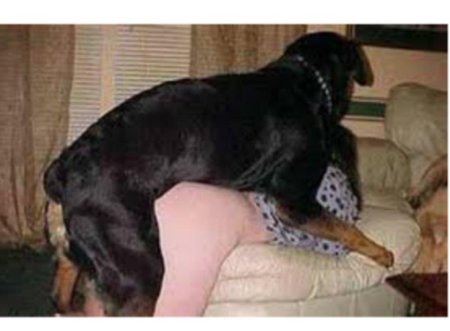 Секс с кобелем