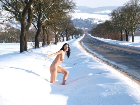 Зимняя тропинка