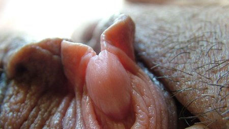 Смешной женский клитор