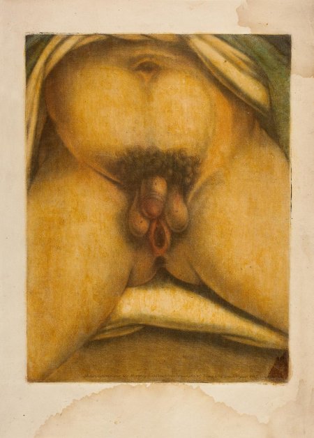 Протандрический гермафродитизм