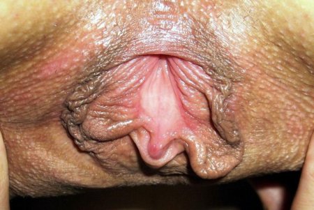 Женский клитор крупным планом