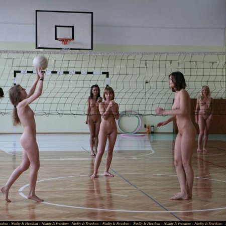 Щит баскетбольный