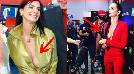 Обвисшая грудь уши спаниеля