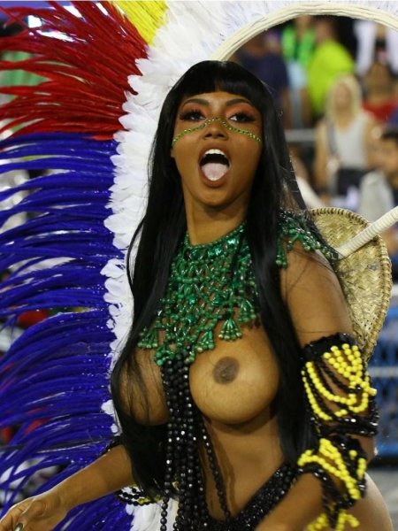 Бразильский карнавал в рио де жанейро