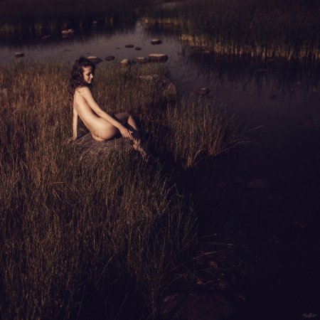 Дмитрий гречин фотограф nude