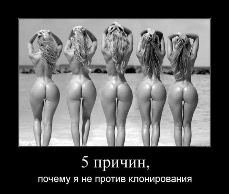 Эротические демотиваторы