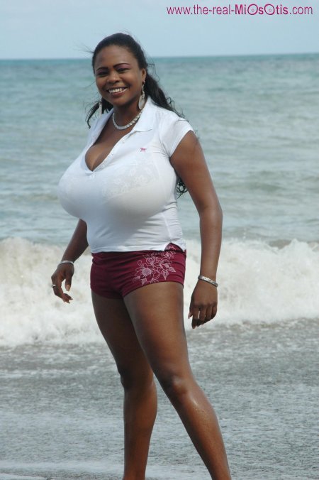 Миосотис кларибель