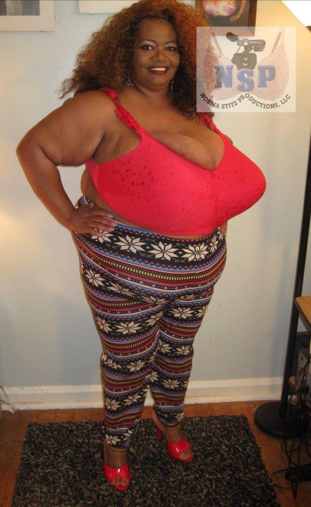 Norma stitz
