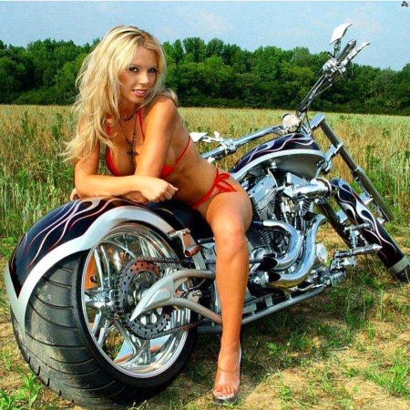 Телки на мото