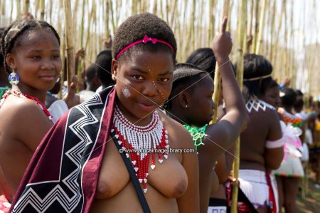 Swaziland umhlanga reed dance