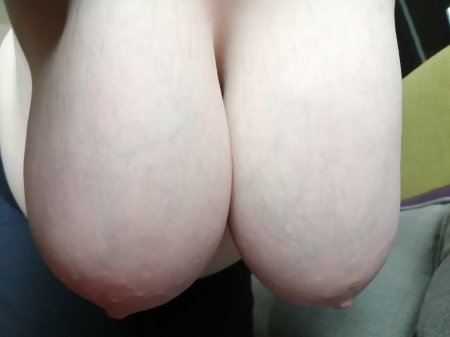 Большая сиси