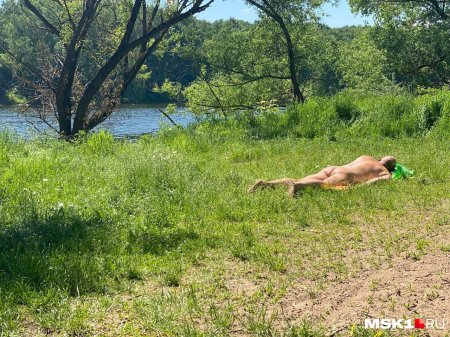 Нудистские пляжи порно